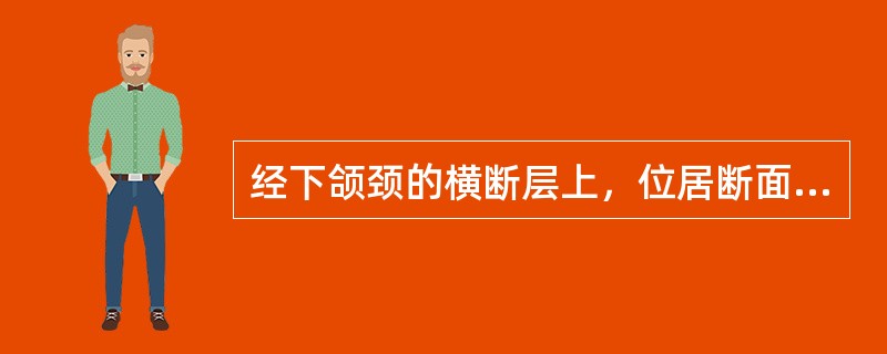 经下颌颈的横断层上，位居断面中央的是（　　）。