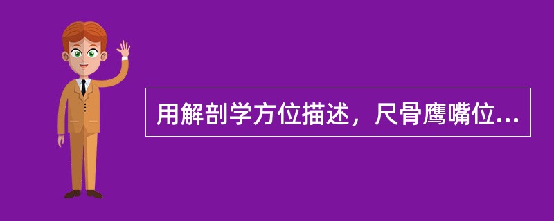 用解剖学方位描述，尺骨鹰嘴位于尺骨的（）