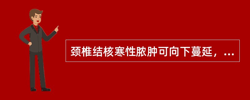 颈椎结核寒性脓肿可向下蔓延，其原因是（　　）。