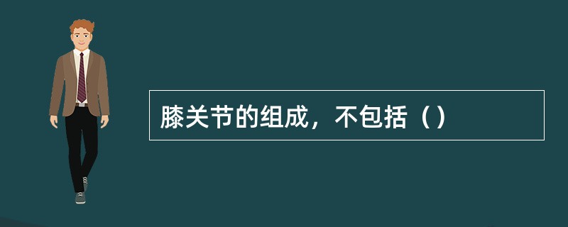 膝关节的组成，不包括（）