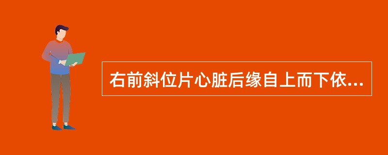 右前斜位片心脏后缘自上而下依次为（）