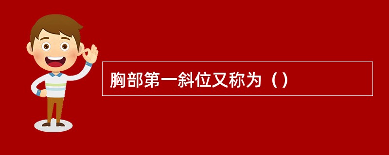 胸部第一斜位又称为（）
