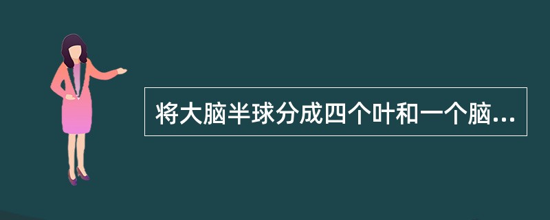 将大脑半球分成四个叶和一个脑岛的沟裂标记是（）