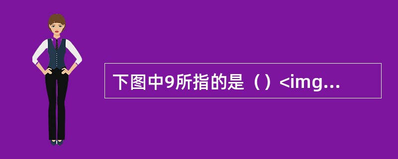 下图中9所指的是（）<img border="0" style="width: 290px; height: 258px;" src="http