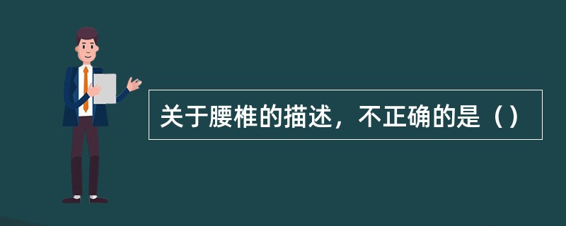 关于腰椎的描述，不正确的是（）
