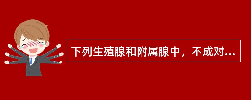 下列生殖腺和附属腺中，不成对的是（　　）。