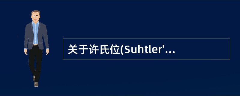 关于许氏位(Suhtler's)摄影的叙述，错误的是（　　）。