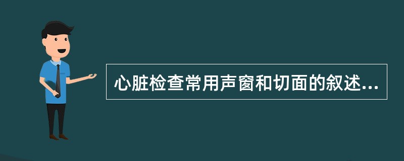 心脏检查常用声窗和切面的叙述，错误的是（　　）。