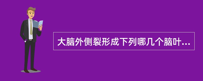 大脑外侧裂形成下列哪几个脑叶的界缘？（　　）