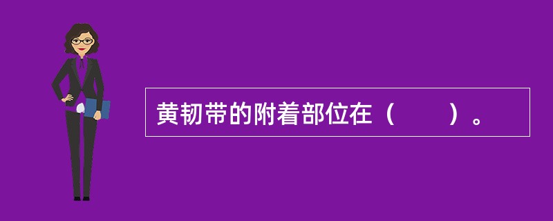 黄韧带的附着部位在（　　）。