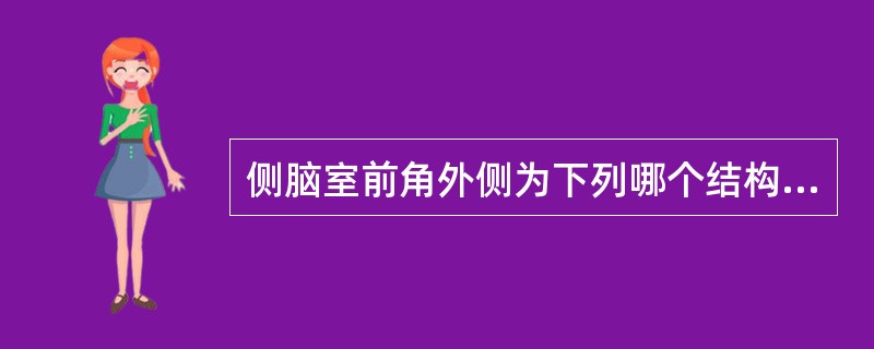 侧脑室前角外侧为下列哪个结构？（　　）