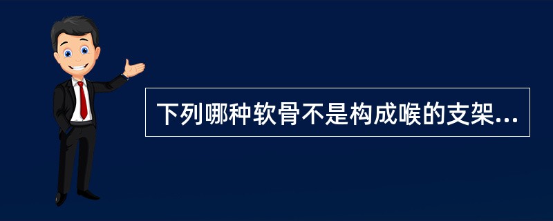 下列哪种软骨不是构成喉的支架软骨？（　　）