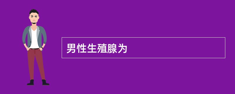 男性生殖腺为