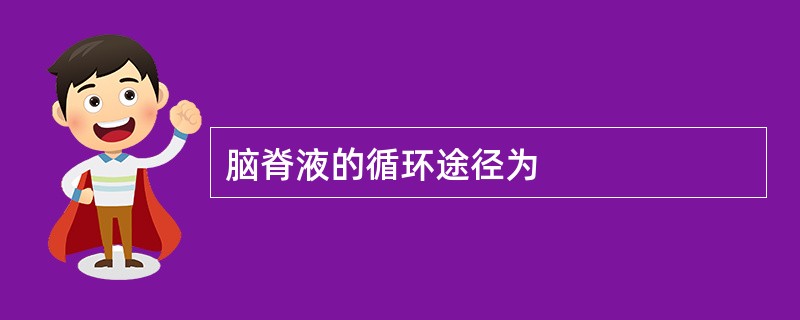 脑脊液的循环途径为