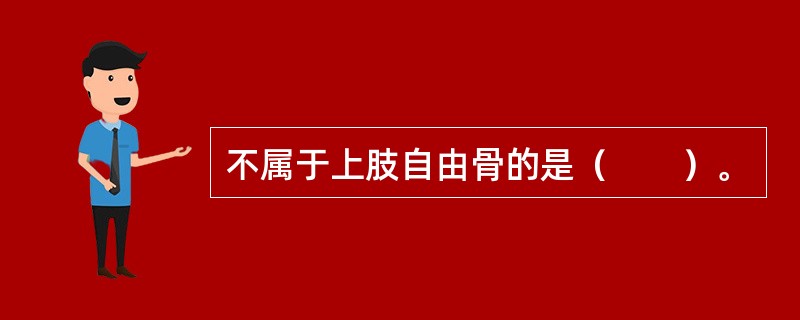 不属于上肢自由骨的是（　　）。