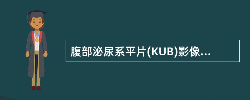 腹部泌尿系平片(KUB)影像细节显示指标为（）