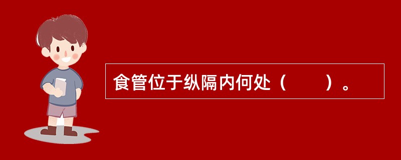 食管位于纵隔内何处（　　）。