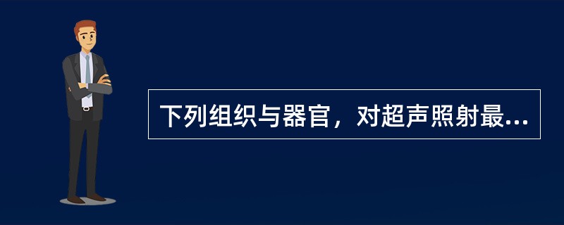 下列组织与器官，对超声照射最敏感的是（）