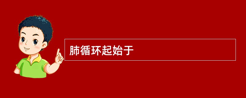 肺循环起始于