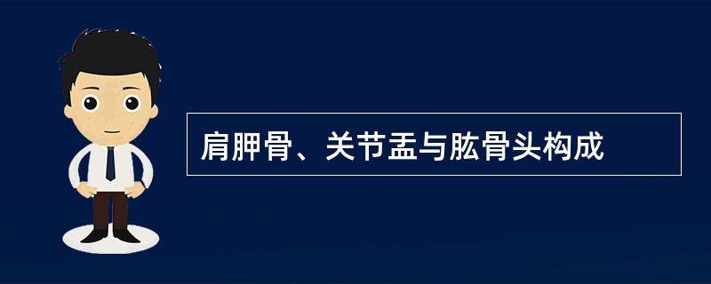 肩胛骨、关节盂与肱骨头构成