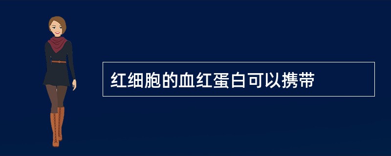 红细胞的血红蛋白可以携带