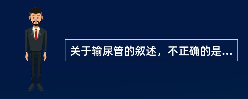 关于输尿管的叙述，不正确的是（　　）。
