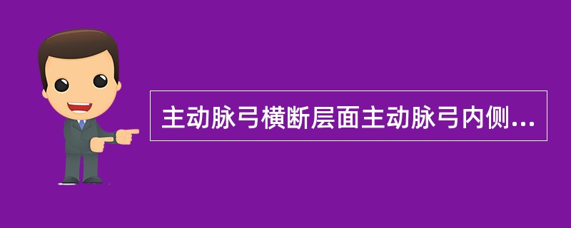 主动脉弓横断层面主动脉弓内侧从前向后的解剖结构为（　　）。