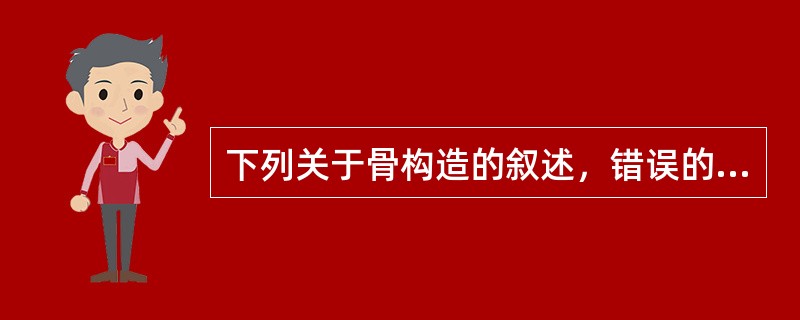 下列关于骨构造的叙述，错误的是（）