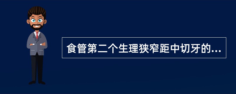 食管第二个生理狭窄距中切牙的距离约