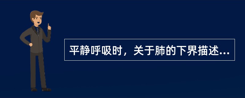 平静呼吸时，关于肺的下界描述，下列哪项是错误的？（　　）