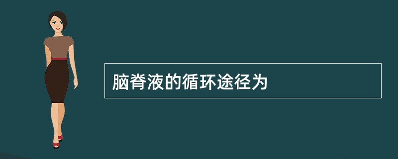 脑脊液的循环途径为