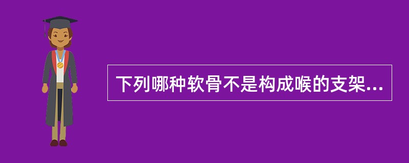 下列哪种软骨不是构成喉的支架软骨？（　　）
