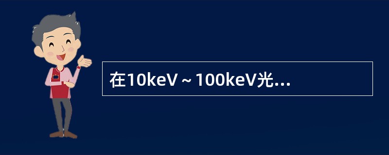 在10keV～100keV光子能量范围内，光子能量在10keV时光电吸收为95％以上，康普顿吸收为5％。光子能量为100keV时，康普顿吸收占95％以上。下列叙述正确的是（　　）。