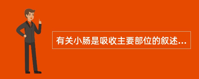 有关小肠是吸收主要部位的叙述，错误的是（）