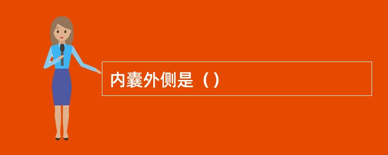 内囊外侧是（）