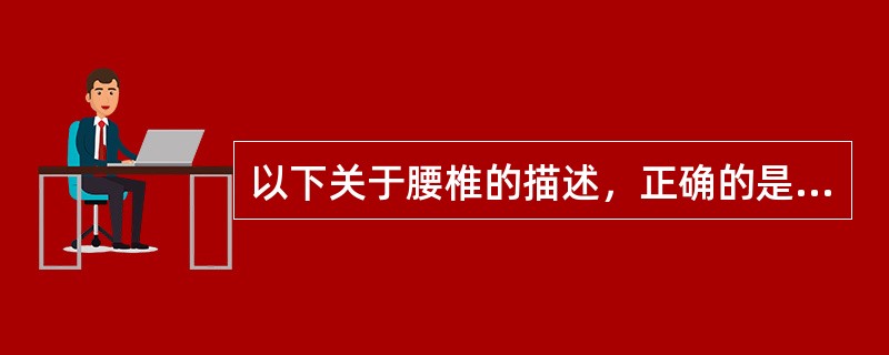 以下关于腰椎的描述，正确的是（）