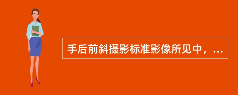 手后前斜摄影标准影像所见中，错误的是（　　）。