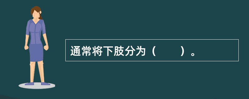 通常将下肢分为（　　）。