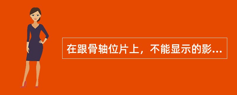 在跟骨轴位片上，不能显示的影像是（）