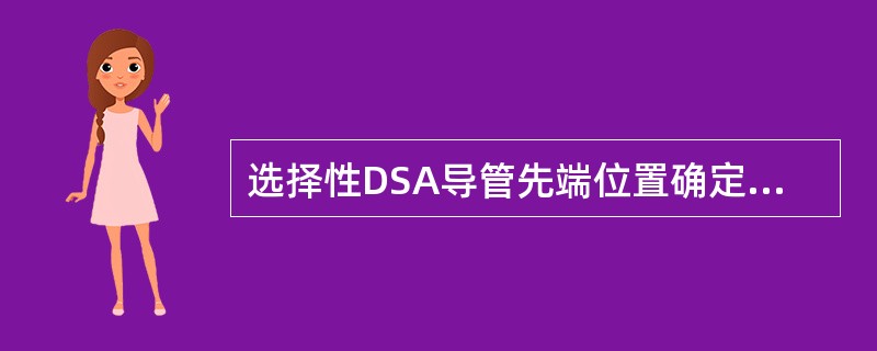 选择性DSA导管先端位置确定的主要依据是（）