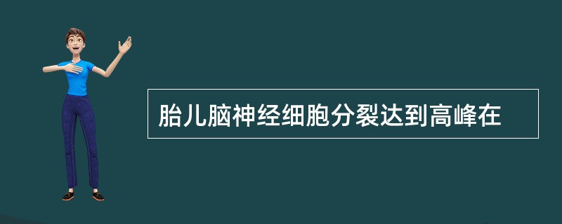 胎儿脑神经细胞分裂达到高峰在