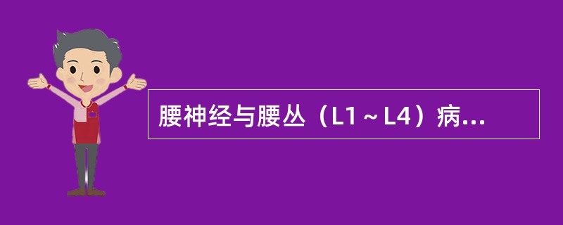 腰神经与腰丛（L1～L4）病损（　　）。