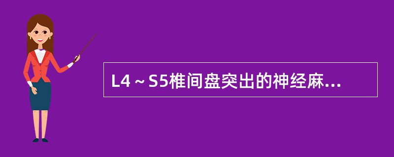 L4～S5椎间盘突出的神经麻木区是在（　　）。