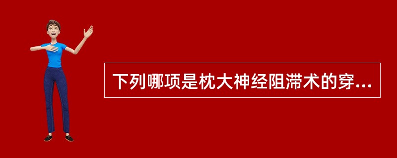 下列哪项是枕大神经阻滞术的穿刺点定位？（　　）