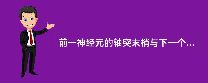 前一神经元的轴突末梢与下一个神经元的树突发生突触联系的是（　　）。