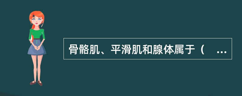 骨骼肌、平滑肌和腺体属于（　　）。