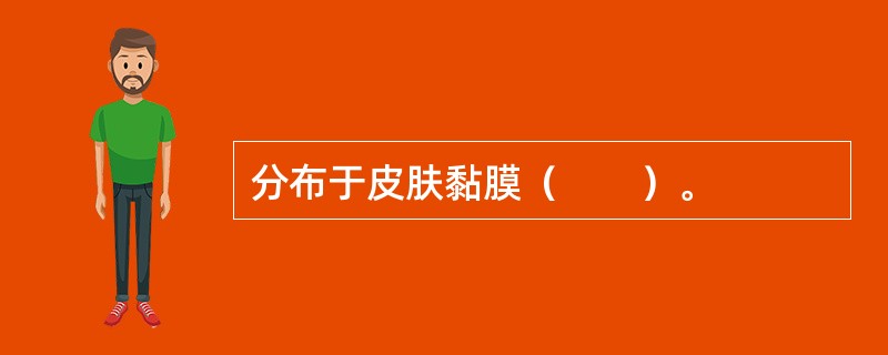 分布于皮肤黏膜（　　）。
