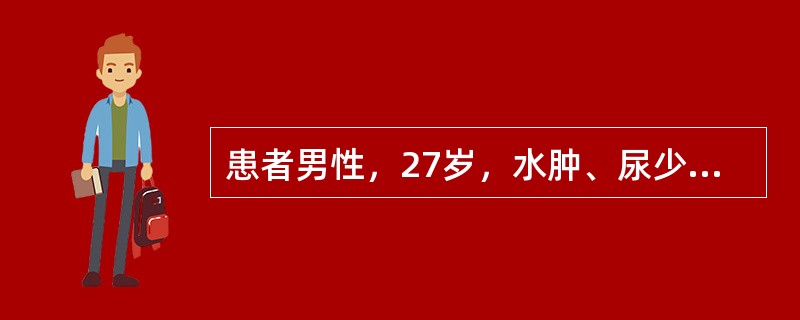 患者男性，27岁，水肿、尿少1周。血压150/100mmHg，尿常规：尿蛋白（++++），红细胞10～20个/HP，血尿素氮20mmol/L，肌酐410μmol/L，血红蛋白80g/L。下列哪项检查有