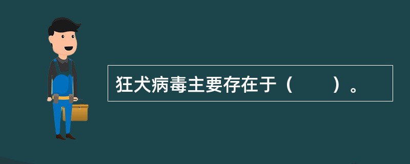 狂犬病毒主要存在于（　　）。