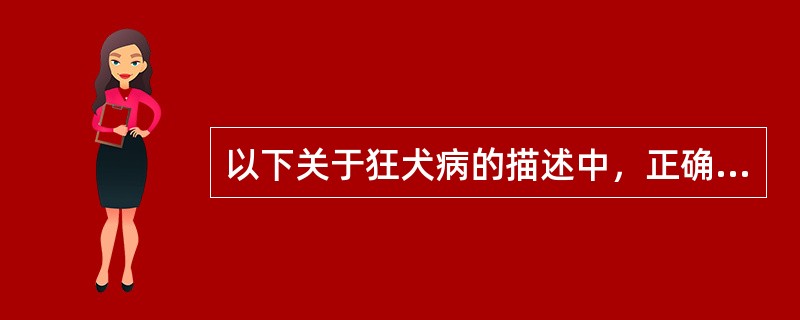 以下关于狂犬病的描述中，正确的是（　　）。